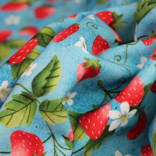 Tessuto SOFTSHELL impermeabile: Fragole su sfondo azzurro