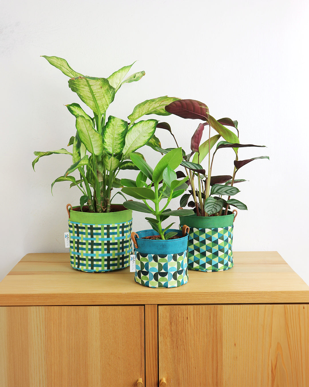 Tessuto SOFTSHELL impermeabile: Stampa geometrica con semicerchi sul verde e blu