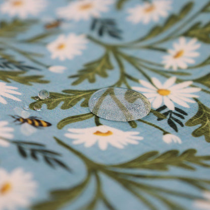 Tessuto SOFTSHELL impermeabile: Daisy Dream - Margherite su sfondo Celeste